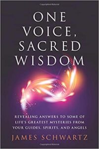 Book Cover: James Schwartz